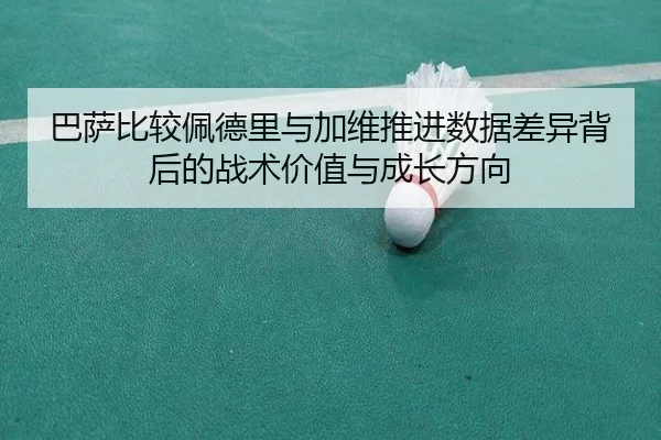 ba-sa-bi-jiao-pei-de-li-yu-jia-wei-tui-jin-shu-ju-cha-yi-bei-hou-de-zhan-shu-jia-zhi-yu-cheng-zhang-fang-xiang-2-363.jpg