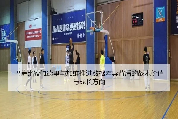 ba-sa-bi-jiao-pei-de-li-yu-jia-wei-tui-jin-shu-ju-cha-yi-bei-hou-de-zhan-shu-jia-zhi-yu-cheng-zhang-fang-xiang-3-678.jpg