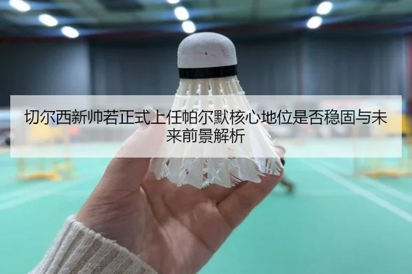 切尔西新帅若正式上任帕尔默核心地位是否稳固与未来前景解析