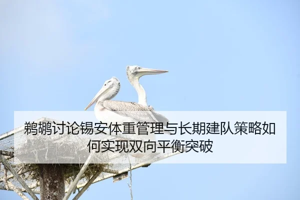 鹈鹕讨论锡安体重管理与长期建队策略如何实现双向平衡突破